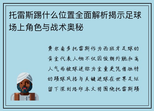 托雷斯踢什么位置全面解析揭示足球场上角色与战术奥秘 托雷斯踢什么位置全面解析揭示足球场上角色与战术奥秘