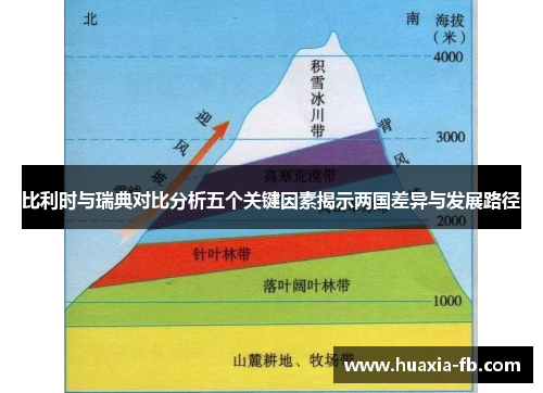 比利时与瑞典对比分析五个关键因素揭示两国差异与发展路径