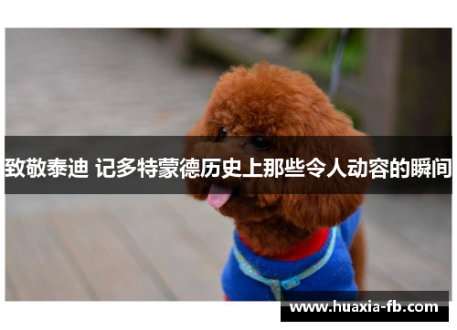 致敬泰迪 记多特蒙德历史上那些令人动容的瞬间 致敬泰迪 记多特蒙德历史上那些令人动容的瞬间