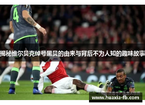 揭秘维尔贝克绰号黑贝的由来与背后不为人知的趣味故事 揭秘维尔贝克绰号黑贝的由来与背后不为人知的趣味故事