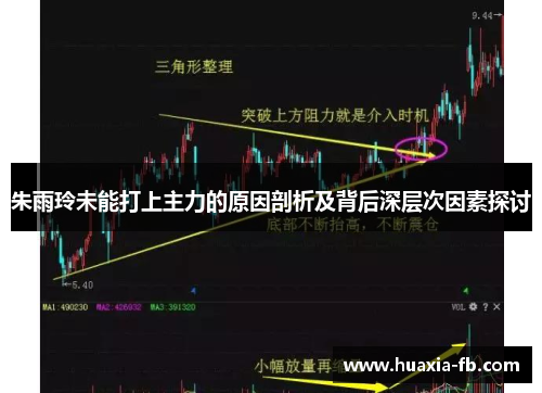 朱雨玲未能打上主力的原因剖析及背后深层次因素探讨